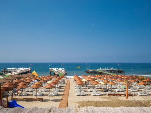 DIZALYA PALM GARDEN