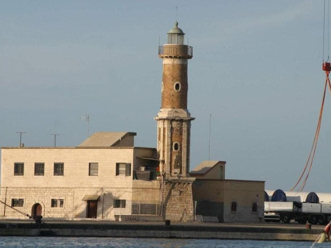 Domatia