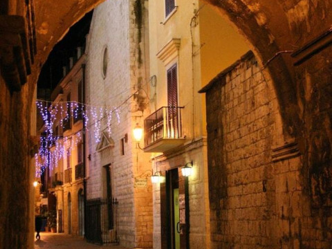 Domatia