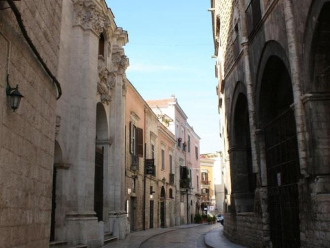 Domatia