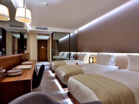 Dosso Dossi Hotels Downtown