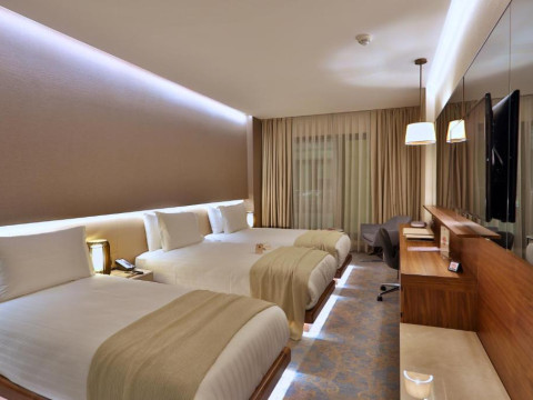 Dosso Dossi Hotels Downtown