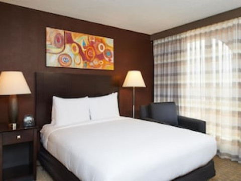 DOUBLETREE BY HILTON DALLAS - MARKET CENTER