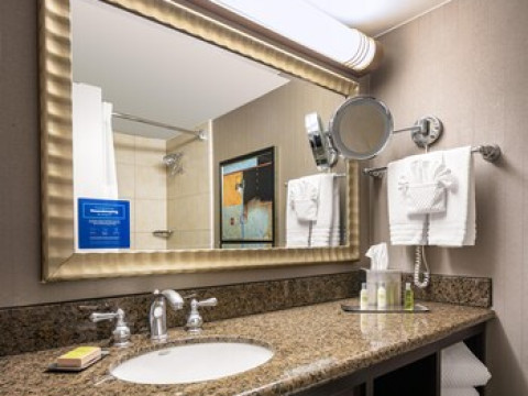 DOUBLETREE BY HILTON DALLAS - MARKET CENTER