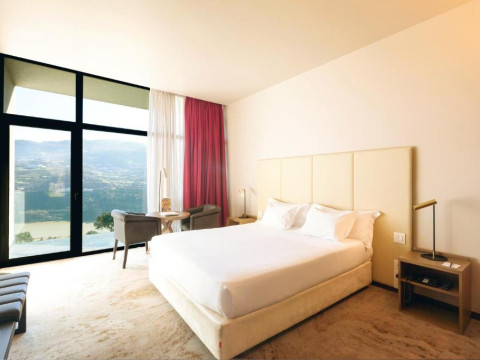 Douro Palace Hotel Resort & SPA