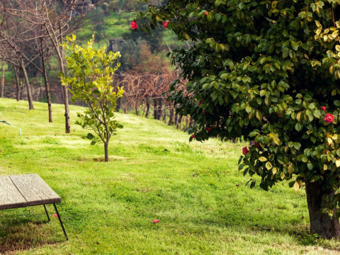 Douro Palace Hotel Resort & SPA