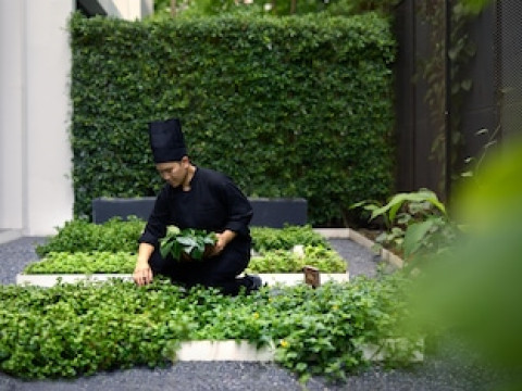 dusitD2 Hua Hin