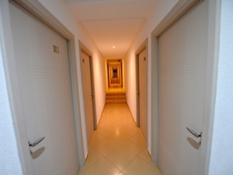 EL  DJENINA
