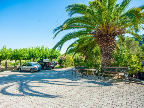 Eleni Studios Skala