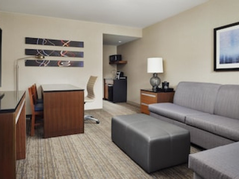EMBASSY SUITES CHICAGO DOWNTOWN MAGNIFICENT MILE
