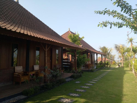 Emir Surfcamp