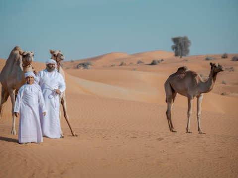 EMIRATELE ARABE UNITE – Yalla, Habibi! PREMIUM TOURS