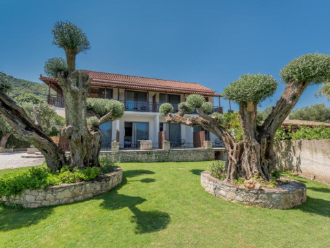 Eptanisos Beachfront Suites Zante