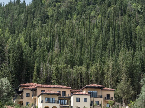 Euphoria Retreat - A Holistic Wellbeing Destination Spa
