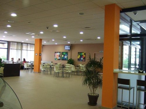 Exe Sevilla Palmera