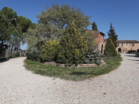 Fattoria Pieve A Salti