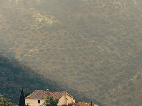 Finca Serrato