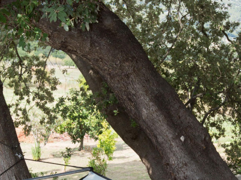 Finca Son Ametler