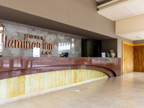 FLAMINGO INN