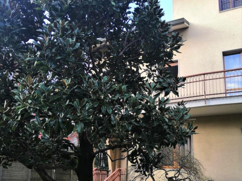 Flatmilan