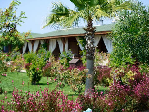 Hotel Flora Garden Beach - Adults Only (+16)