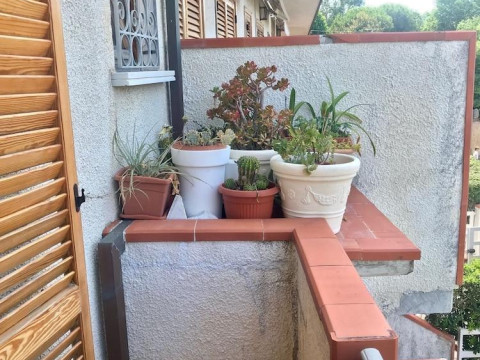 Forte Dei Marmi Apartment