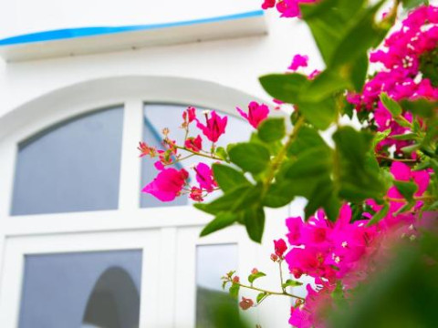 Gardenia Hotel