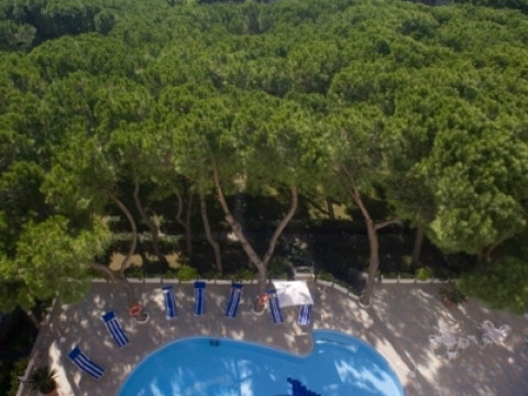 Giulivo