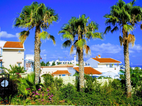 Golden Dream Apartments