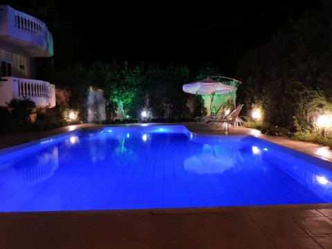 GOLDEN ROSE SUITES