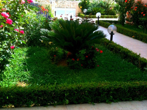 GOLDEN ROSE SUITES