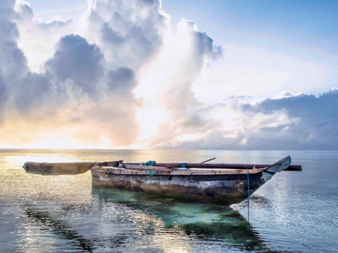 The Island Pongwe Lodge
