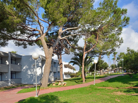 AluaSun Cala Antena