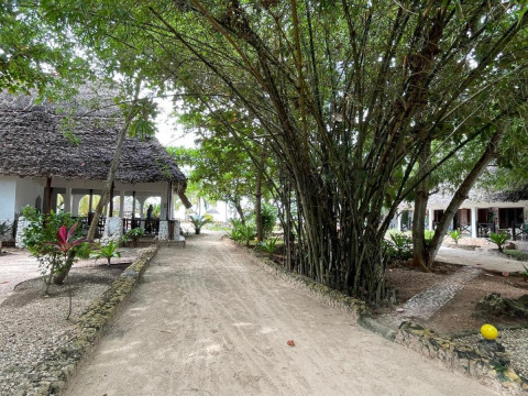 Jambo Resort