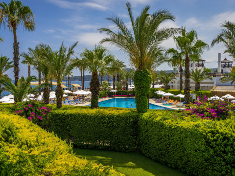 Emelda Sun Club