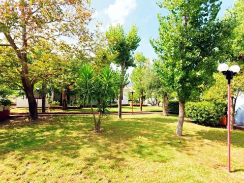 Alykes Park