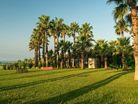 Royal Atlantis Beach 