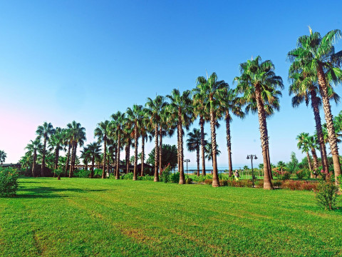 Royal Atlantis Beach 