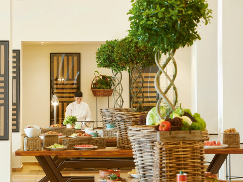 GRECOTEL ILIA PALMS & AQUA PARK