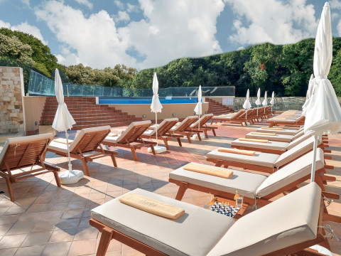GRIFID FORESTA