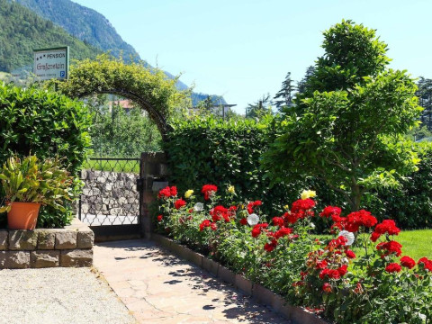 Guesthouse Pension Grafenstein