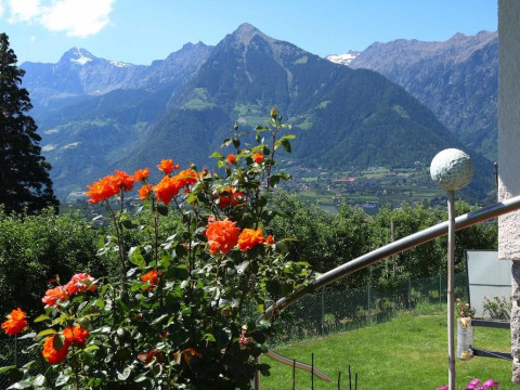 Guesthouse Pension Grafenstein