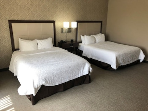 HAMPTON INN & SUITES TAMPA BUSCH GARDENS AREA