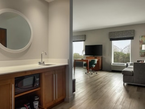 HAMPTON INN & SUITES TAMPA BUSCH GARDENS AREA