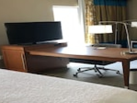 HAMPTON INN & SUITES TAMPA BUSCH GARDENS AREA