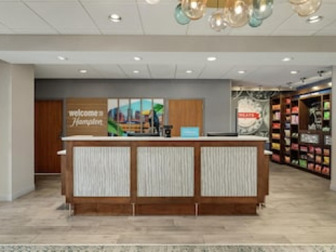 HAMPTON INN & SUITES TAMPA BUSCH GARDENS AREA