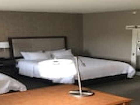 HAMPTON INN & SUITES TAMPA BUSCH GARDENS AREA