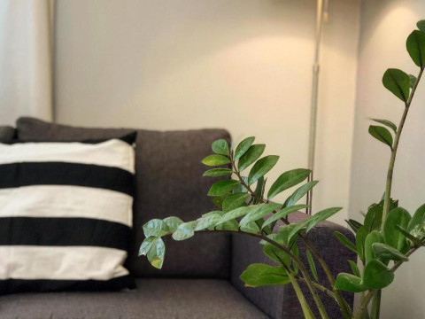 HELIANTHUS APARTMENTS