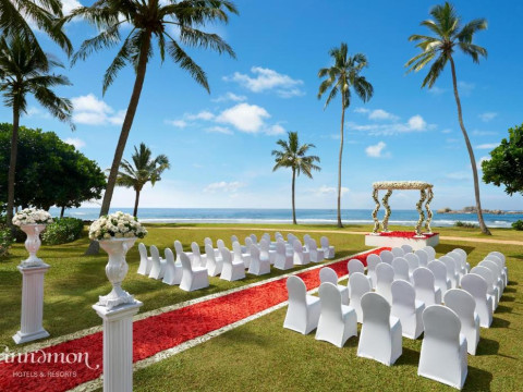 Hikka Tranz by Cinnamon