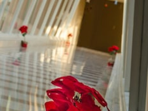 HILTON ALEXANDRIA GREEN PLAZA